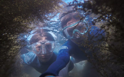 From Sea to Sky: Wednesday, Jan 30