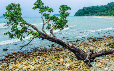 Laying Aloft….Lay On