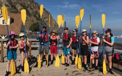 Imagining and Examining the Everglades at the Phoenix School