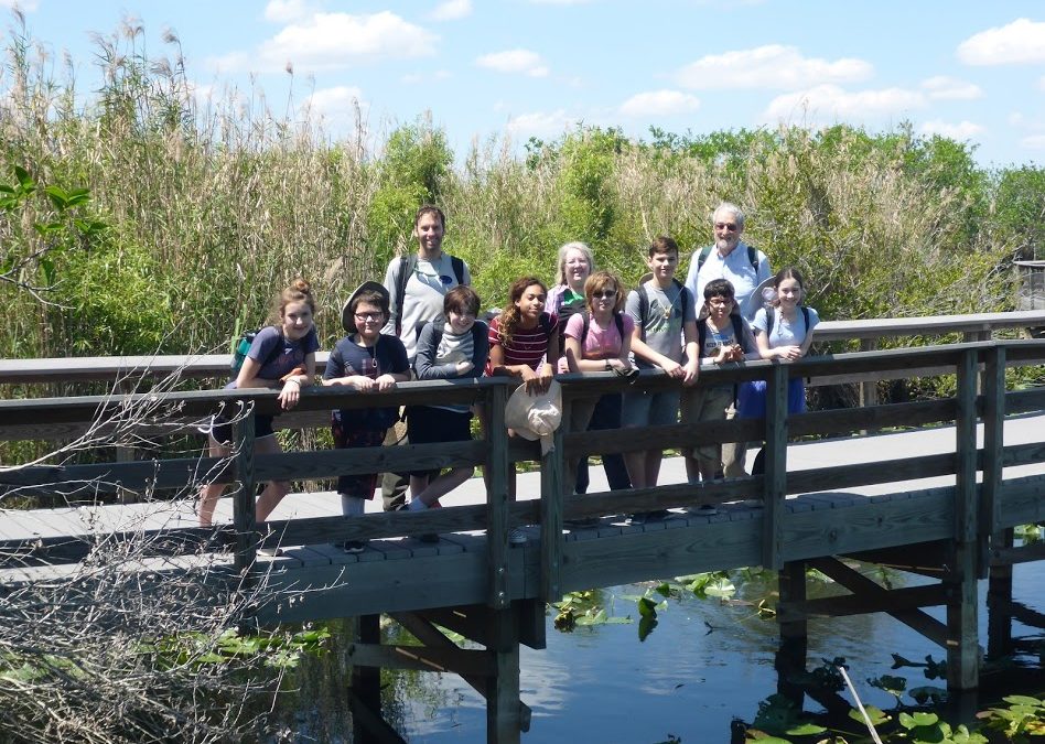 The Alligators Get the Right of Way – The Phoenix School Grades 6-8 Go to the Everglades
