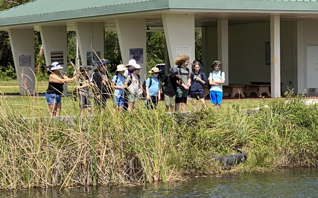 Day 2:  Anhinga Trail, Everglades Study Travel Program 2022