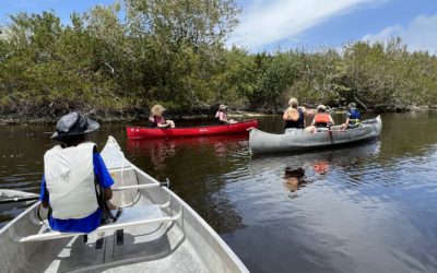 Day 4: Canoeing on Buttonwood Canal