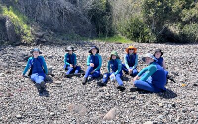 ​​Imagine a School Where Your Child Leads Their Own Learning